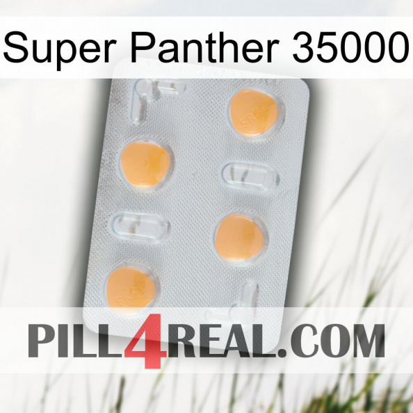 Super Panther 35000 24.jpg